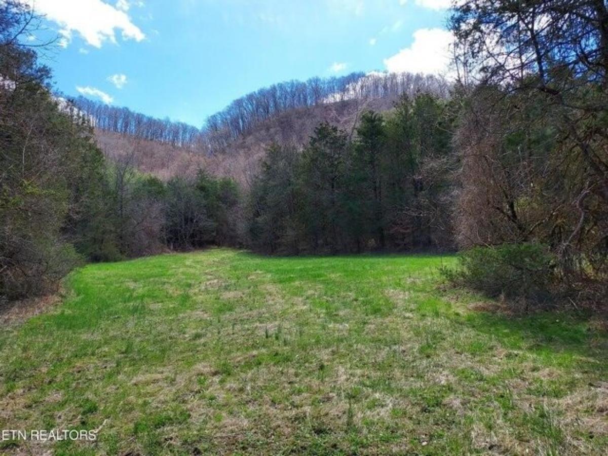 Picture of Residential Land For Sale in Thorn Hill, Tennessee, United States