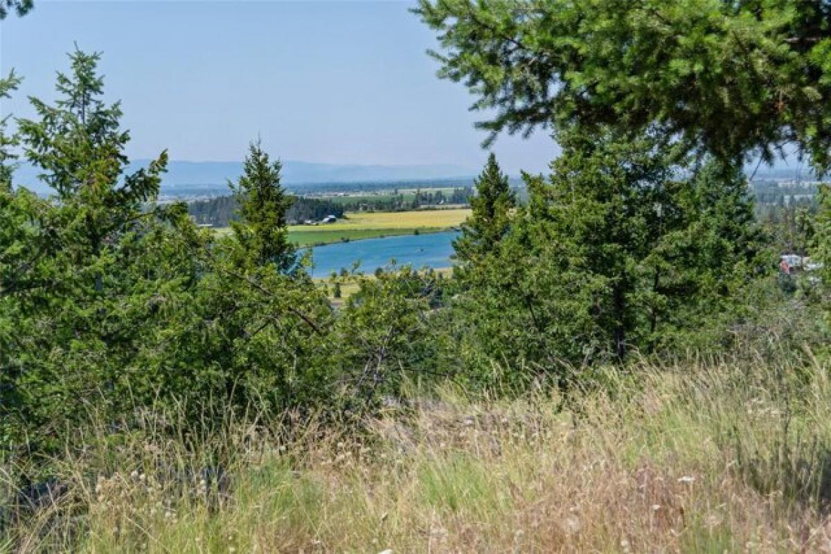 Picture of Residential Land For Sale in Bigfork, Montana, United States