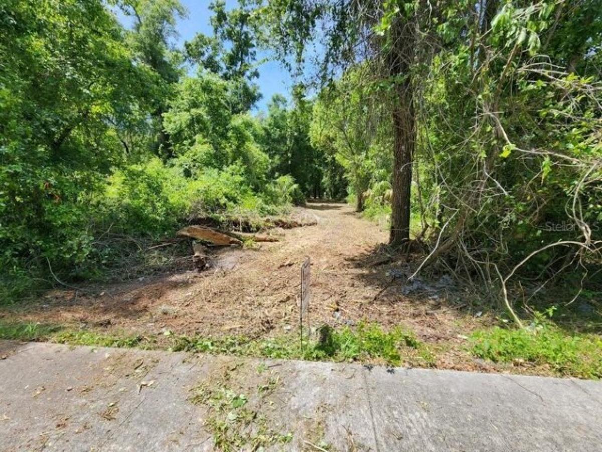 Picture of Residential Land For Sale in Orange City, Florida, United States