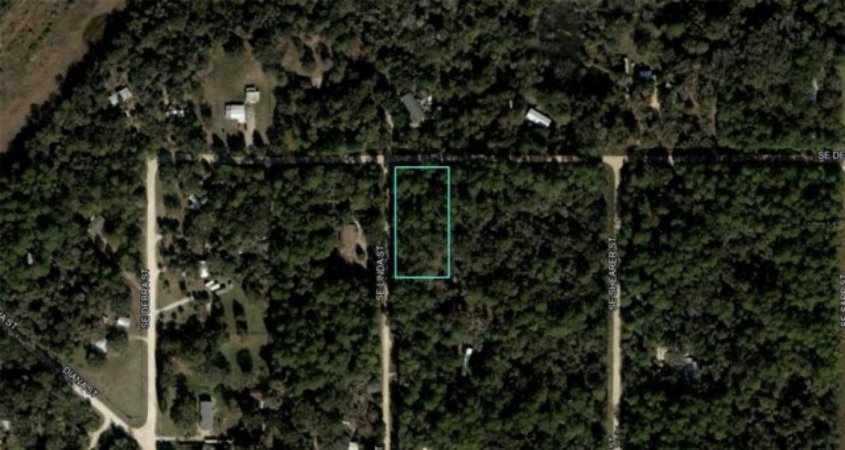 Picture of Residential Land For Sale in Inglis, Florida, United States