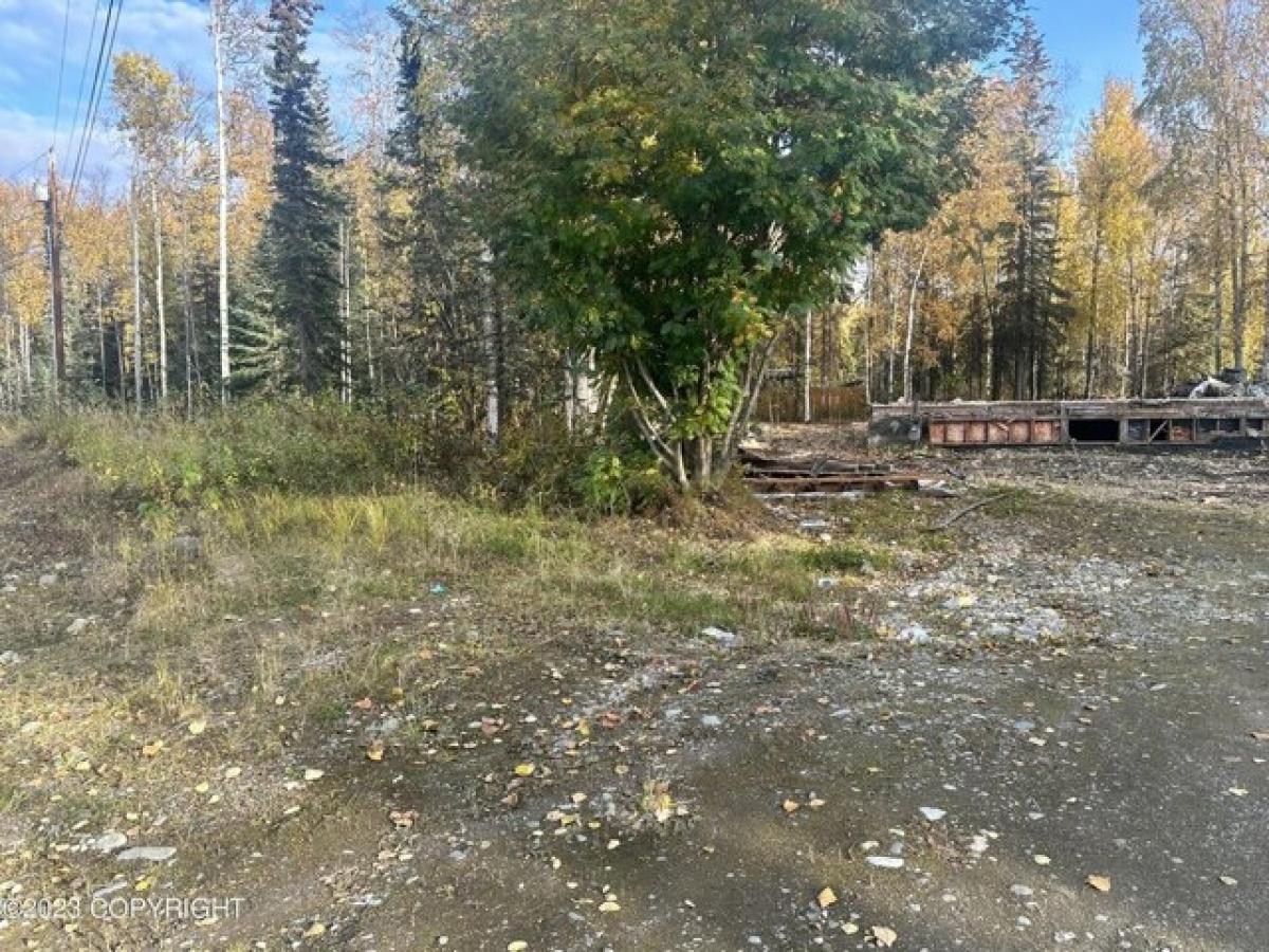 Picture of Residential Land For Sale in Wasilla, Alaska, United States