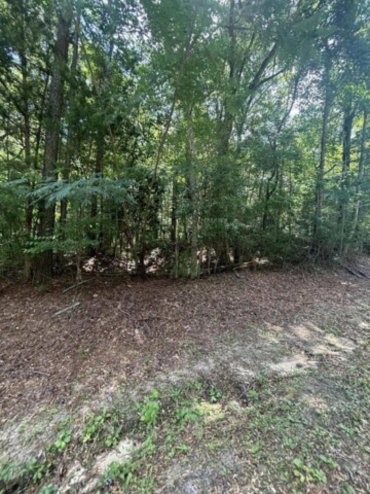 Picture of Residential Land For Sale in Andalusia, Alabama, United States