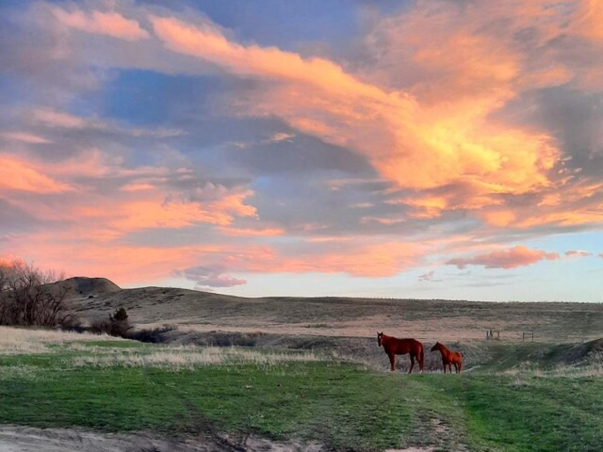 Picture of Residential Land For Sale in Sheridan, Wyoming, United States