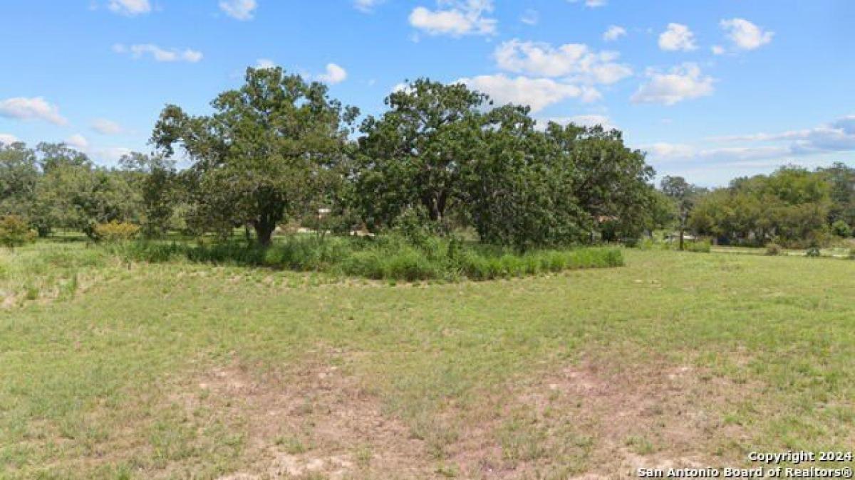 Picture of Residential Land For Sale in Poteet, Texas, United States