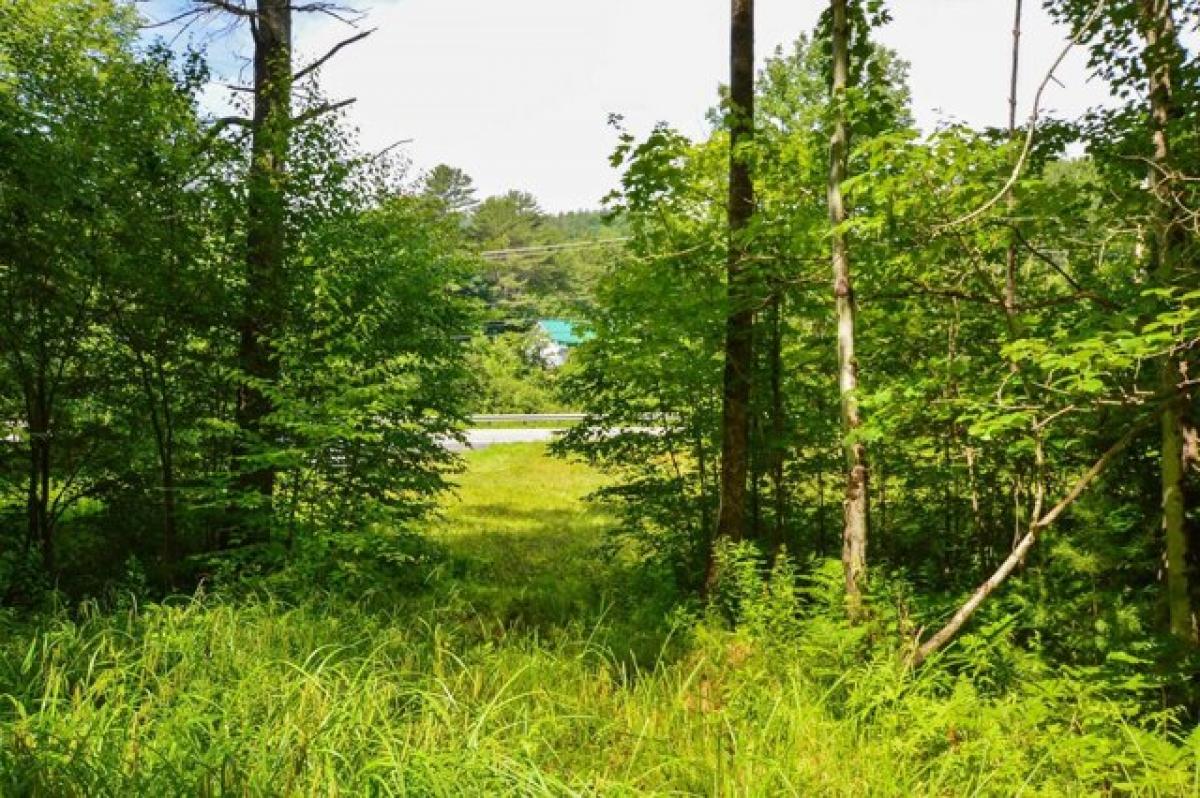 Picture of Residential Land For Sale in Chester, Vermont, United States