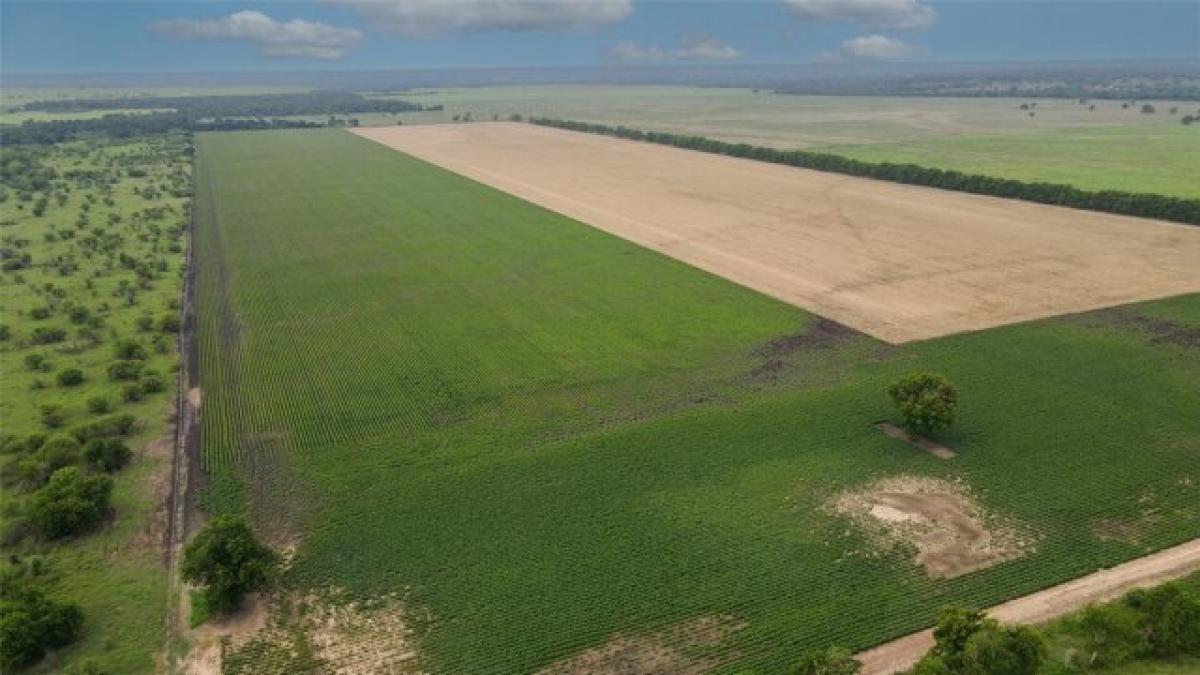 Picture of Residential Land For Sale in Washington, Texas, United States