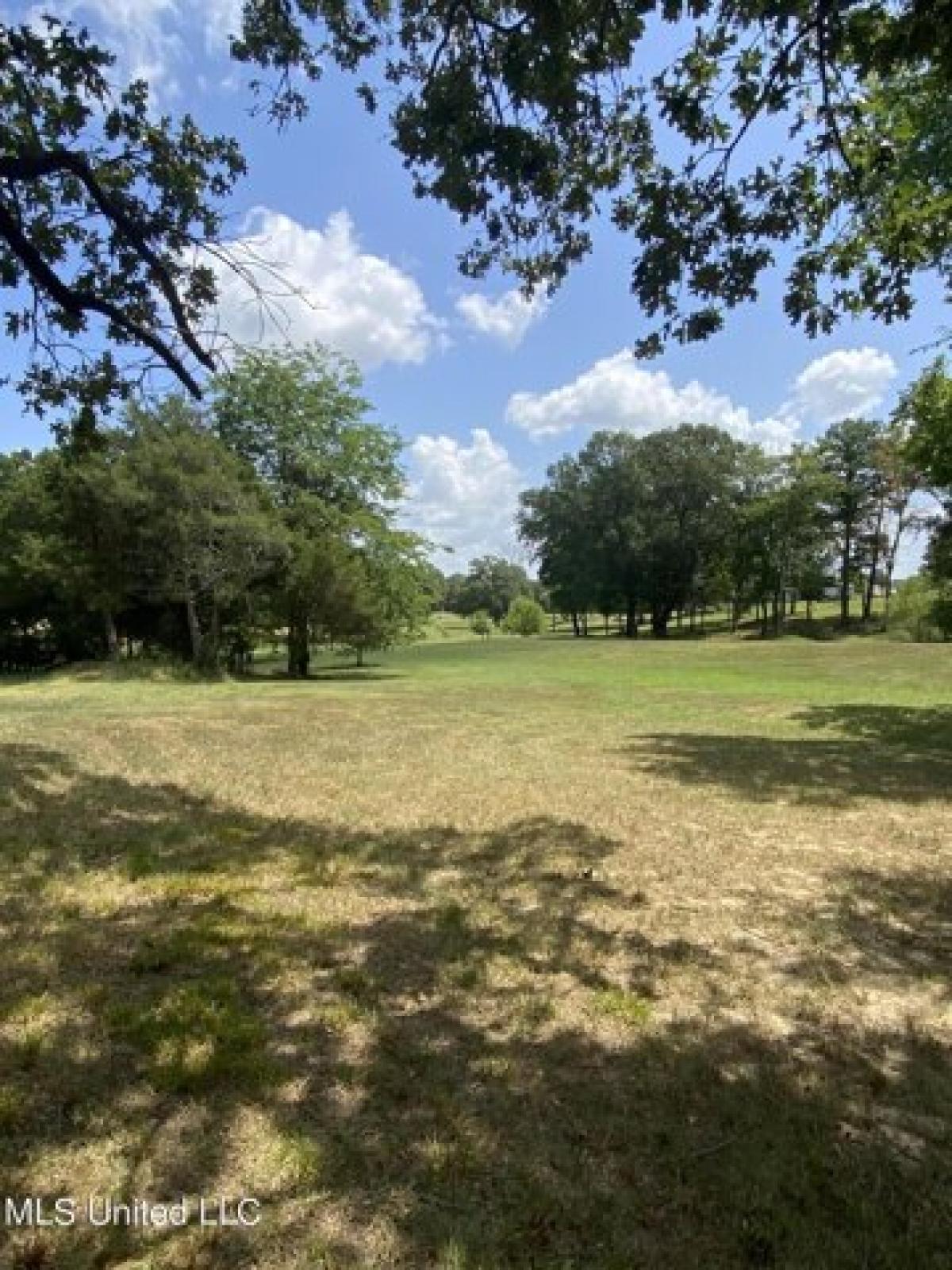 Picture of Residential Land For Sale in Hernando, Mississippi, United States