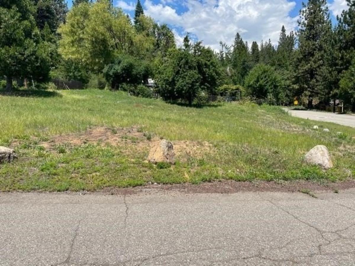 Picture of Residential Land For Sale in McCloud, California, United States