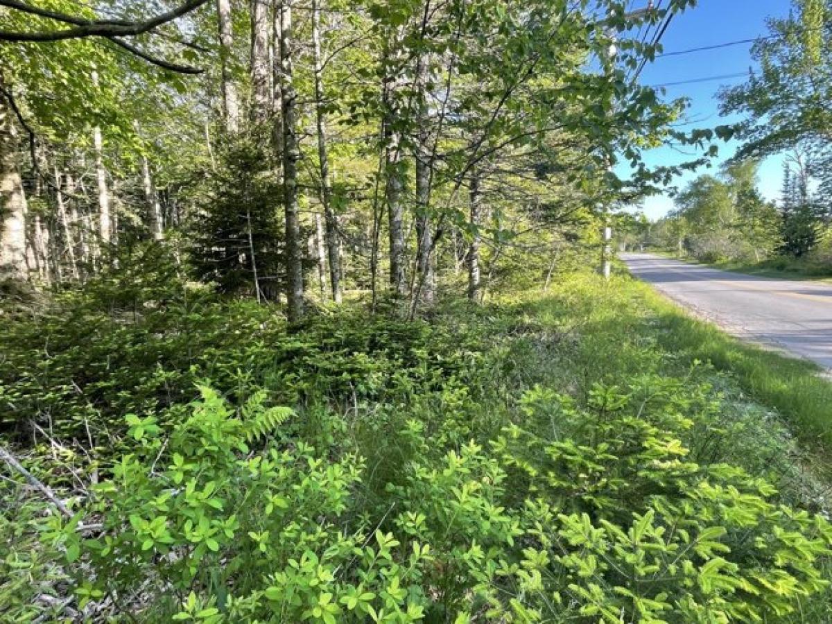 Picture of Residential Land For Sale in Vinalhaven, Maine, United States