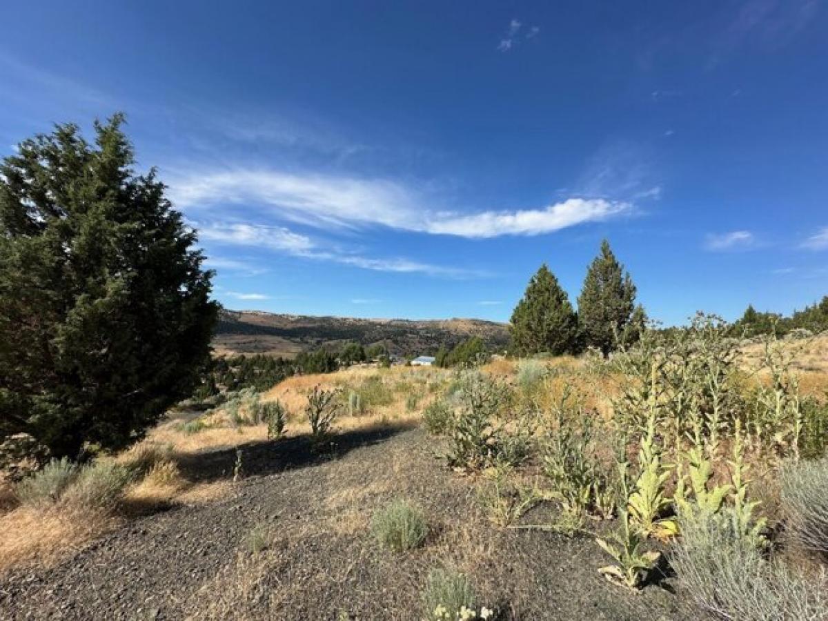 Picture of Residential Land For Sale in John Day, Oregon, United States