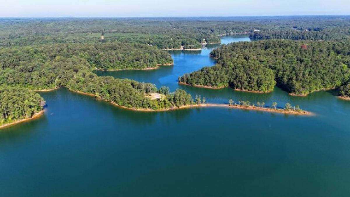 Picture of Residential Land For Sale in Double Springs, Alabama, United States