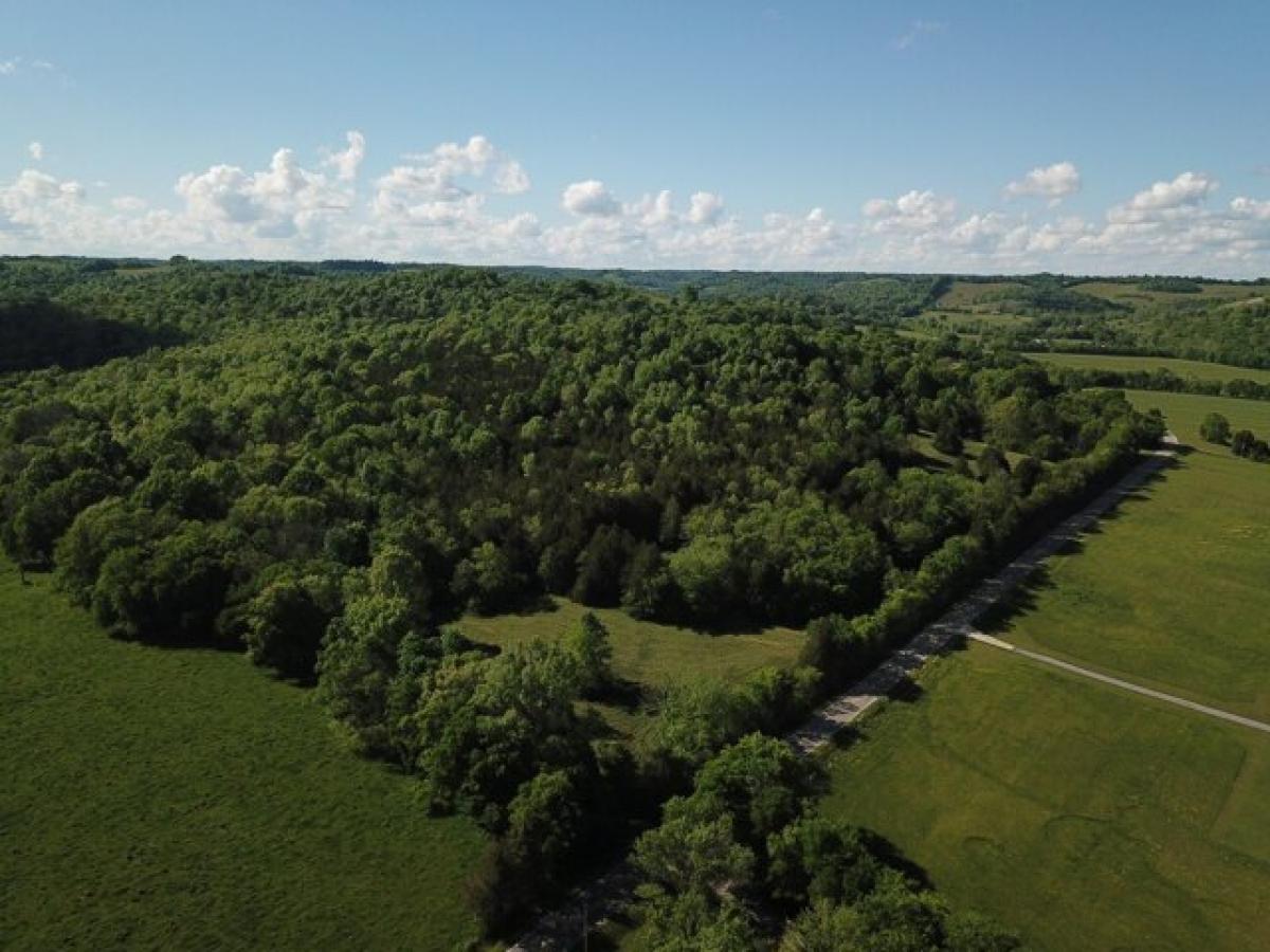 Picture of Home For Sale in Fayetteville, Tennessee, United States