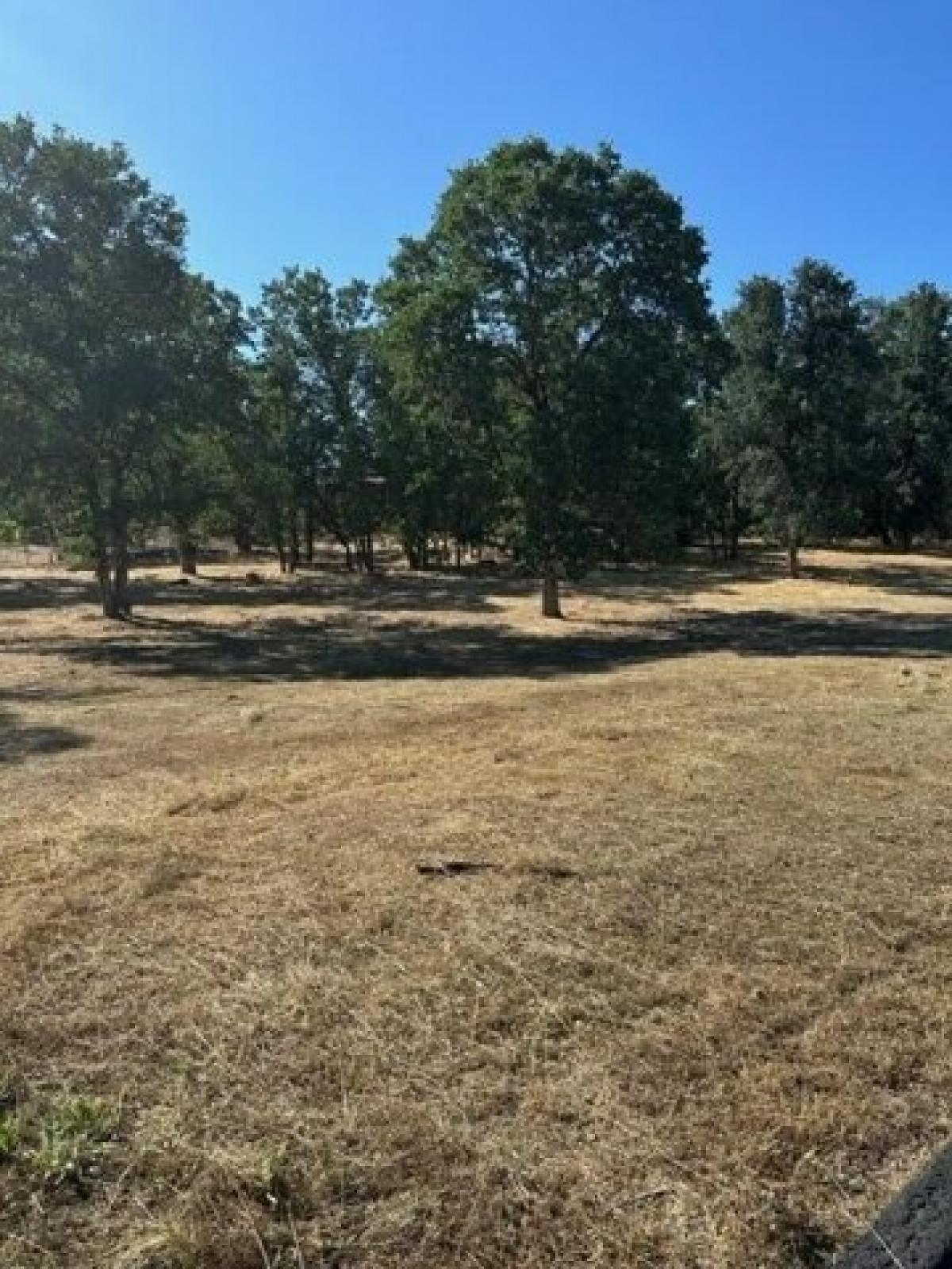 Picture of Residential Land For Sale in Redding, California, United States