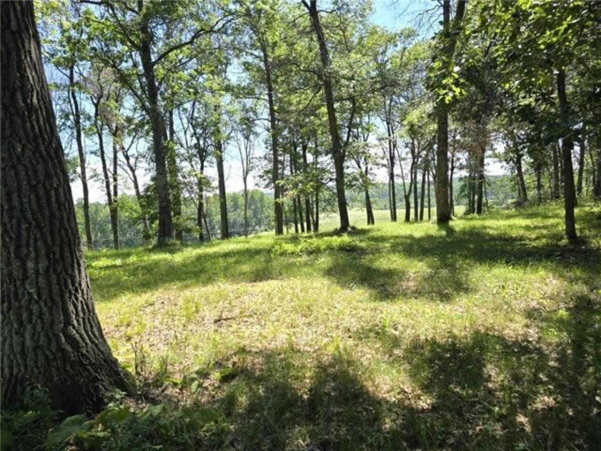 Picture of Residential Land For Sale in Pine River, Minnesota, United States