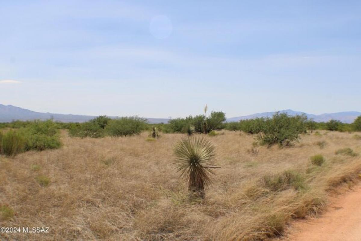 Picture of Residential Land For Sale in Saint David, Arizona, United States