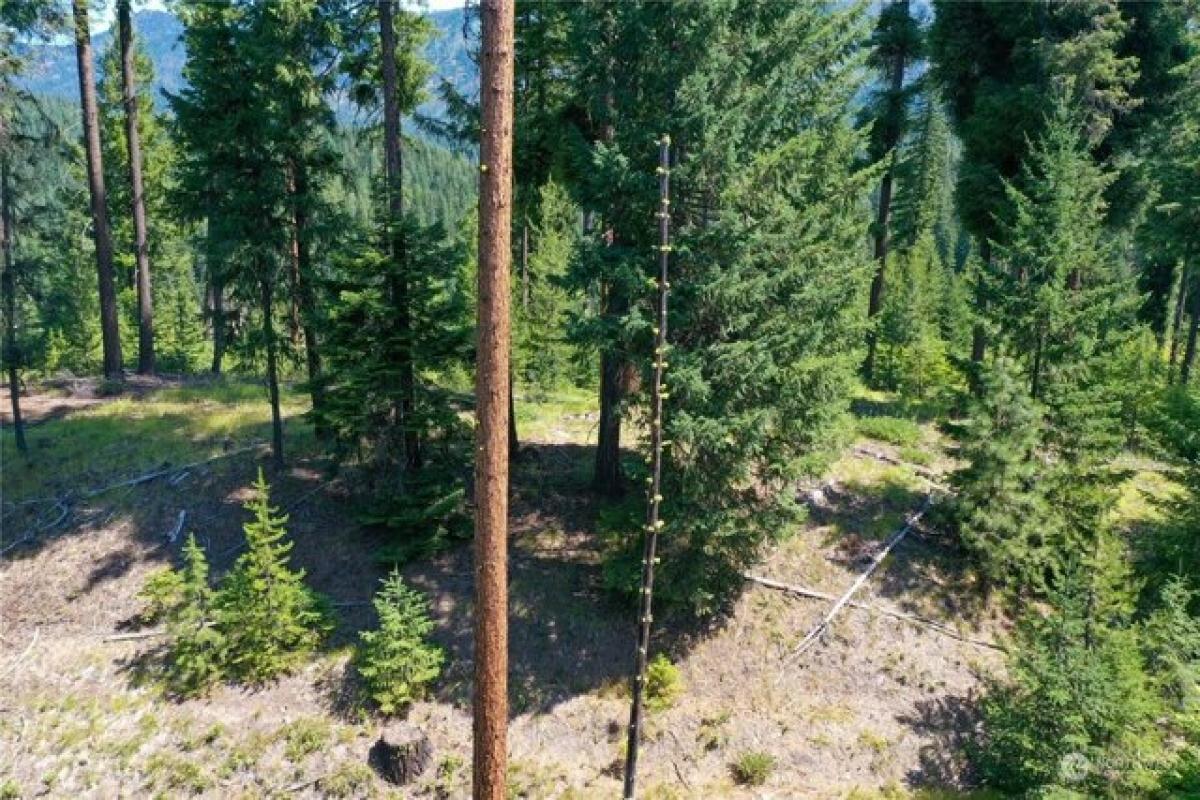 Picture of Residential Land For Sale in Leavenworth, Washington, United States