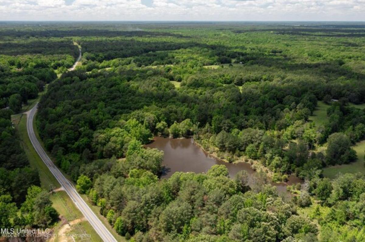 Picture of Residential Land For Sale in Byhalia, Mississippi, United States