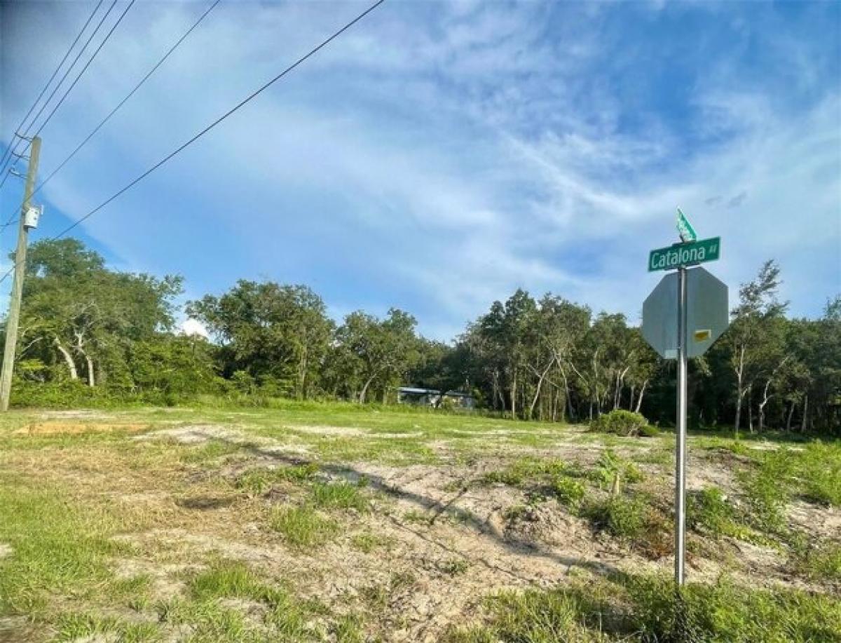 Picture of Residential Land For Sale in New Port Richey, Florida, United States