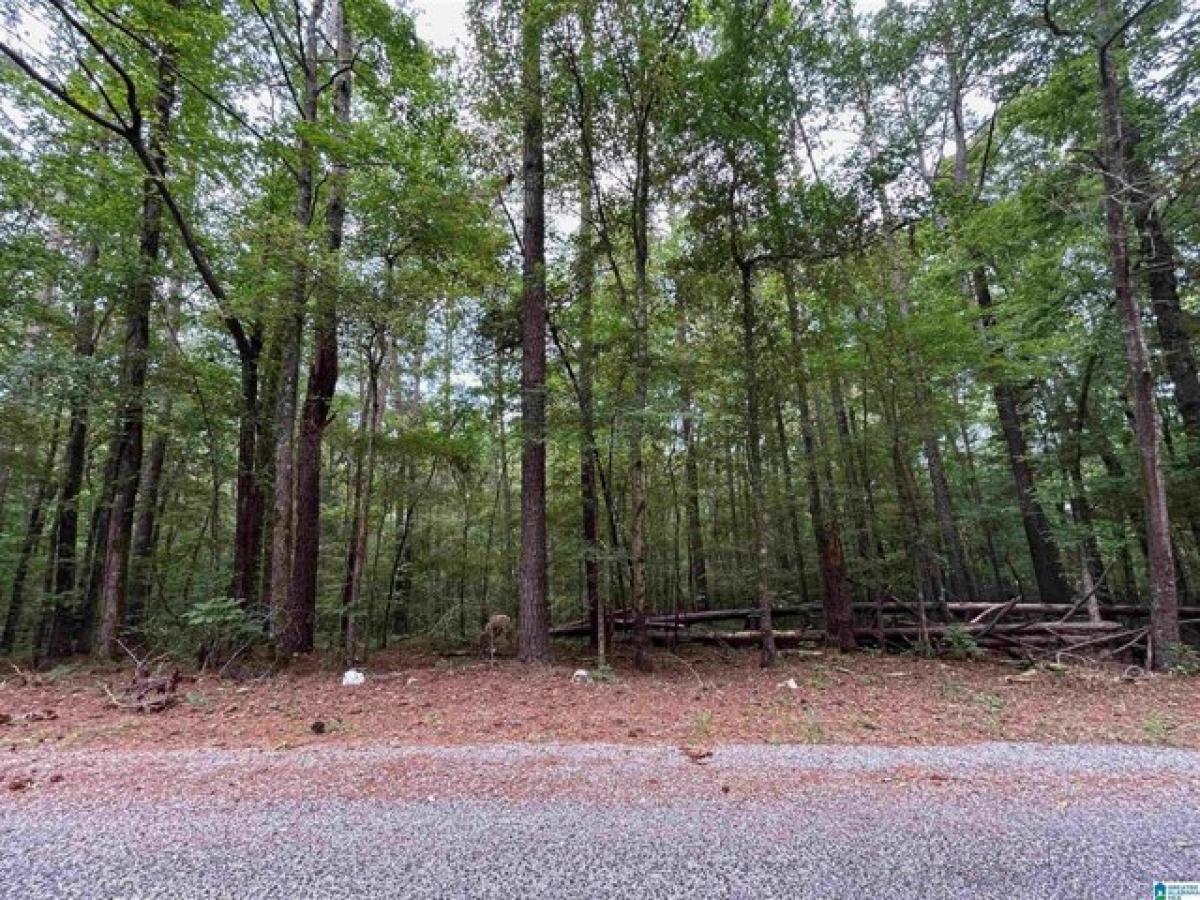 Picture of Residential Land For Rent in Talladega, Alabama, United States