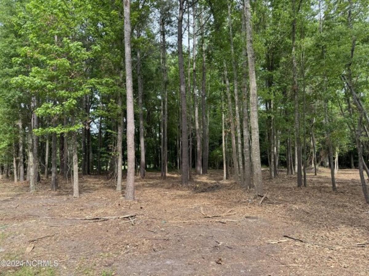 Picture of Residential Land For Sale in Washington, North Carolina, United States