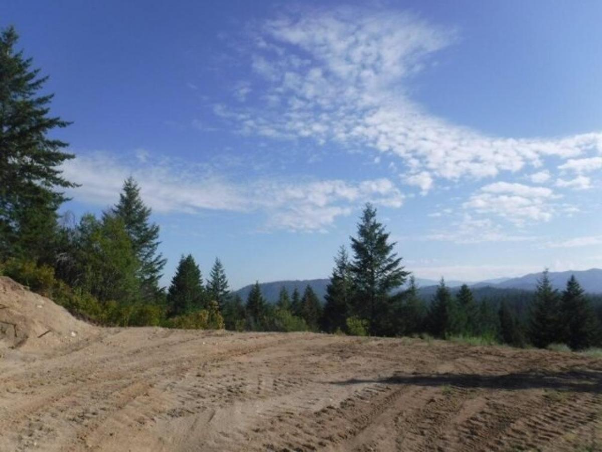 Picture of Residential Land For Sale in Loon Lake, Washington, United States