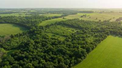 Residential Land For Sale in South Greenfield, Missouri