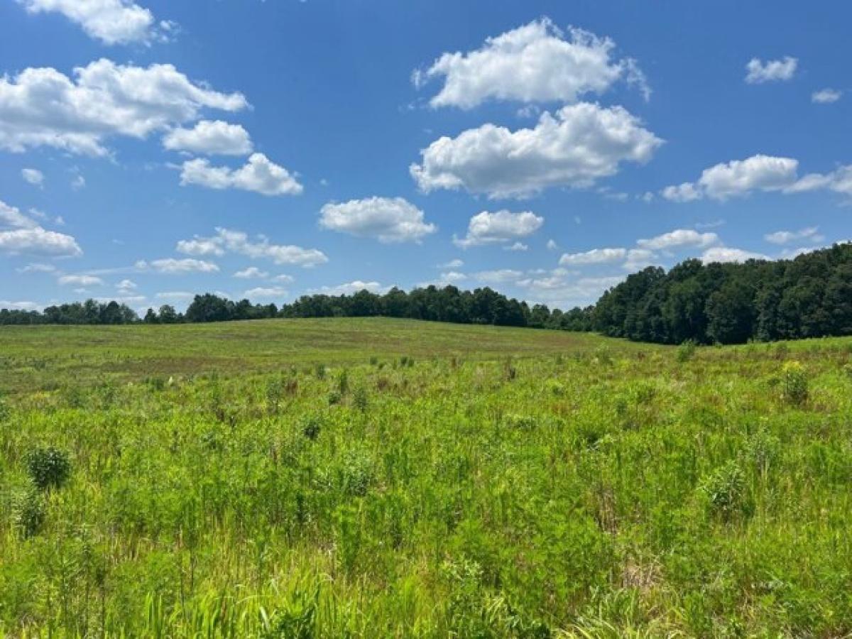 Picture of Residential Land For Sale in Langsville, Ohio, United States