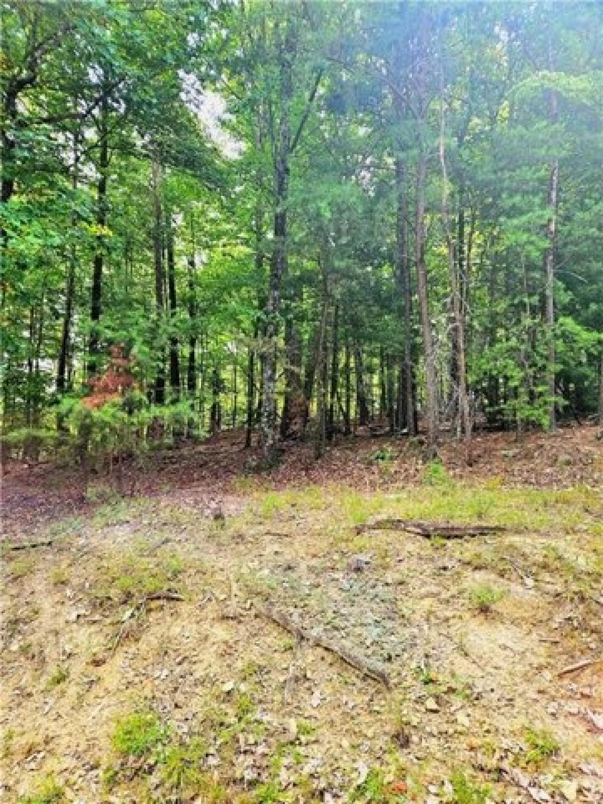 Picture of Residential Land For Sale in Traphill, North Carolina, United States