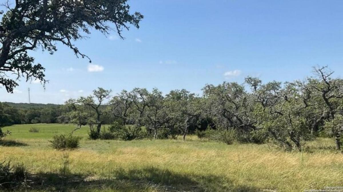 Picture of Residential Land For Sale in Bulverde, Texas, United States