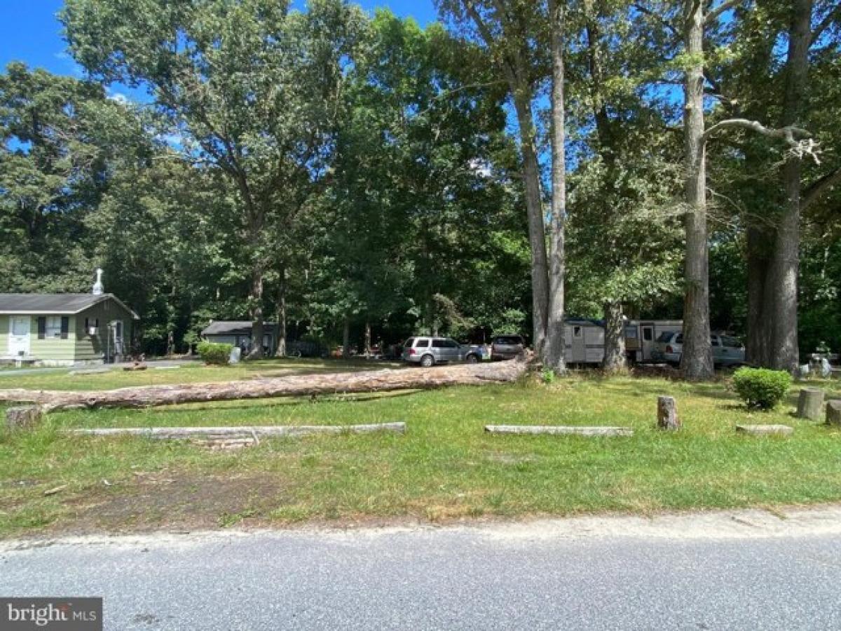 Picture of Residential Land For Sale in Millsboro, Delaware, United States