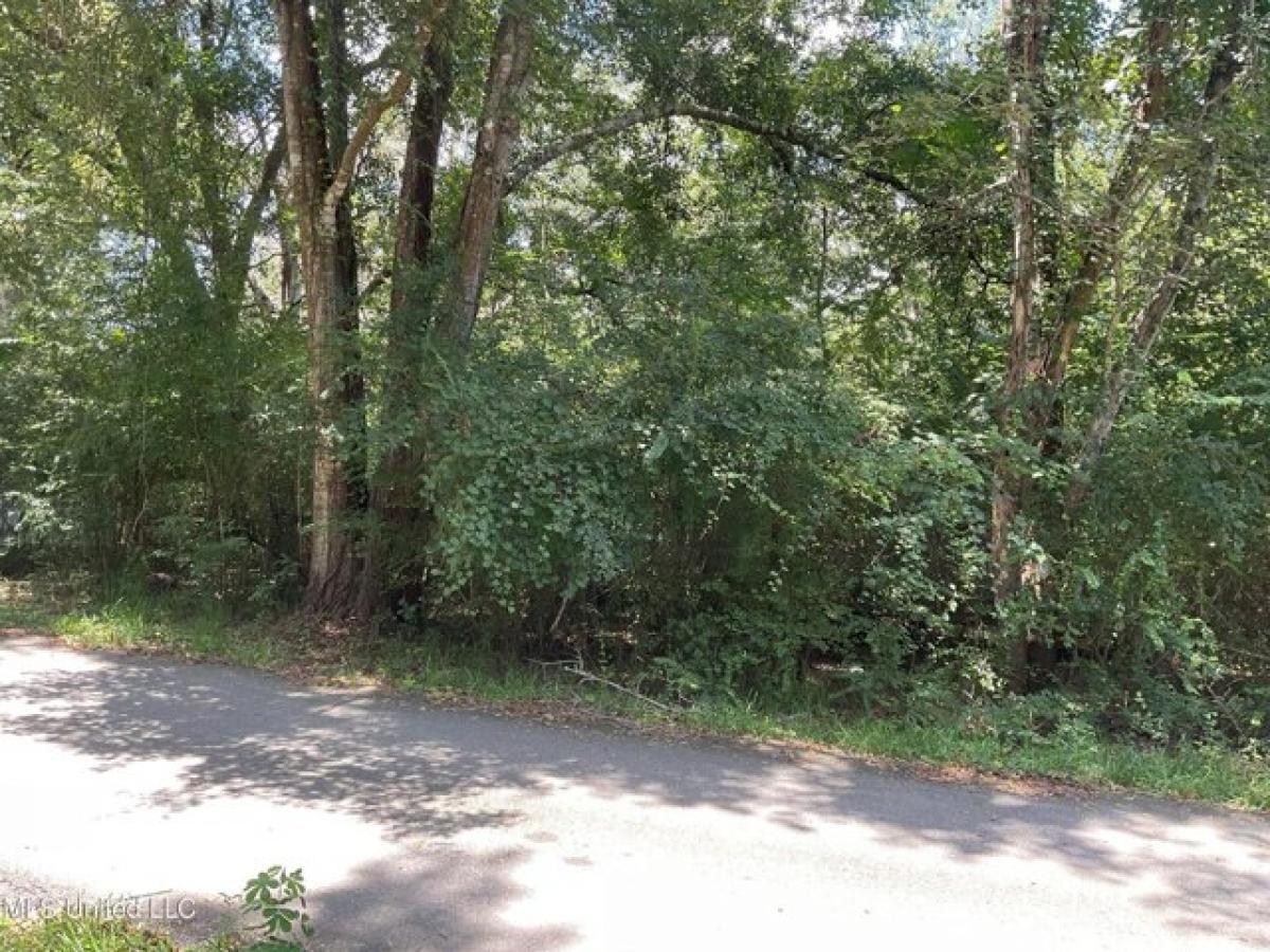 Picture of Residential Land For Sale in Vancleave, Mississippi, United States