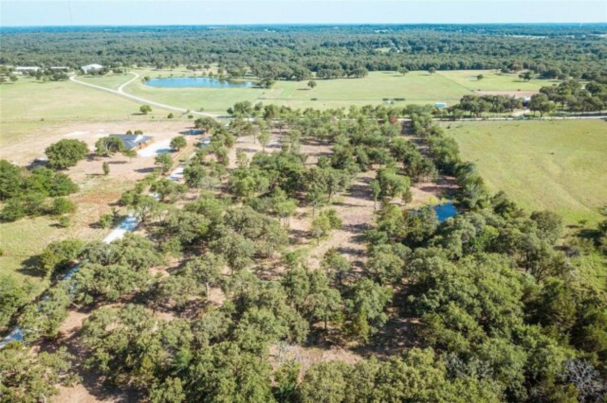 Picture of Residential Land For Sale in Gainesville, Texas, United States