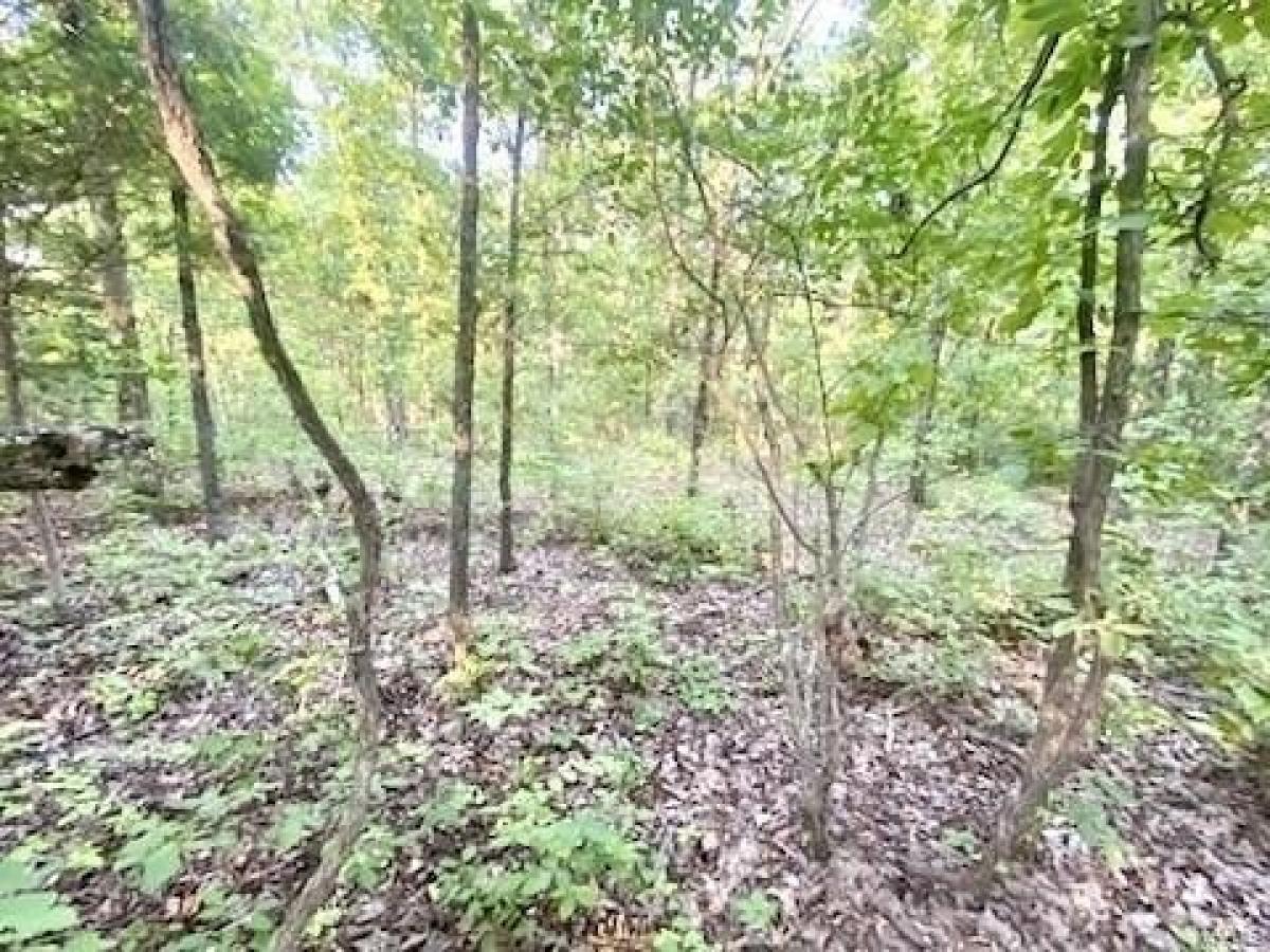 Picture of Residential Land For Sale in Sullivan, Missouri, United States