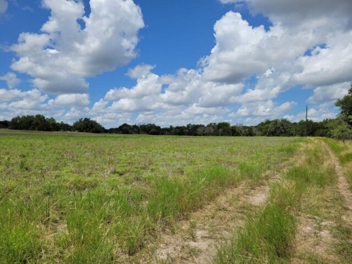 Picture of Home For Sale in Gustine, Texas, United States