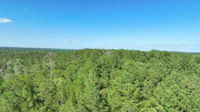 Residential Land For Sale in Colmesneil, Texas