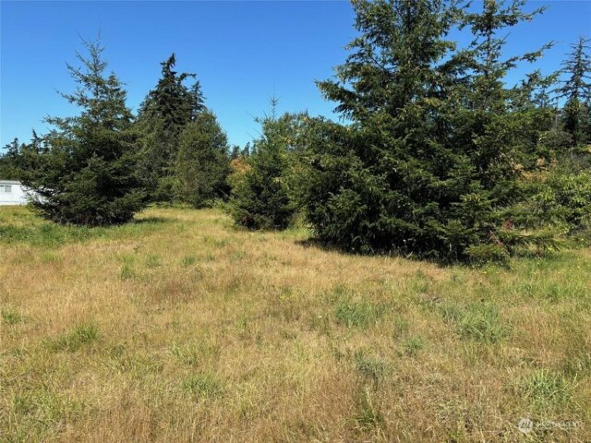 Picture of Residential Land For Sale in Oak Harbor, Washington, United States