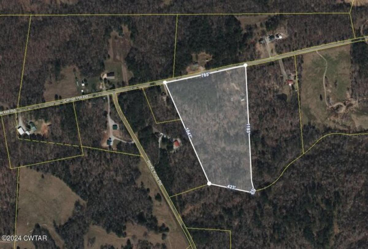 Picture of Residential Land For Sale in Finger, Tennessee, United States