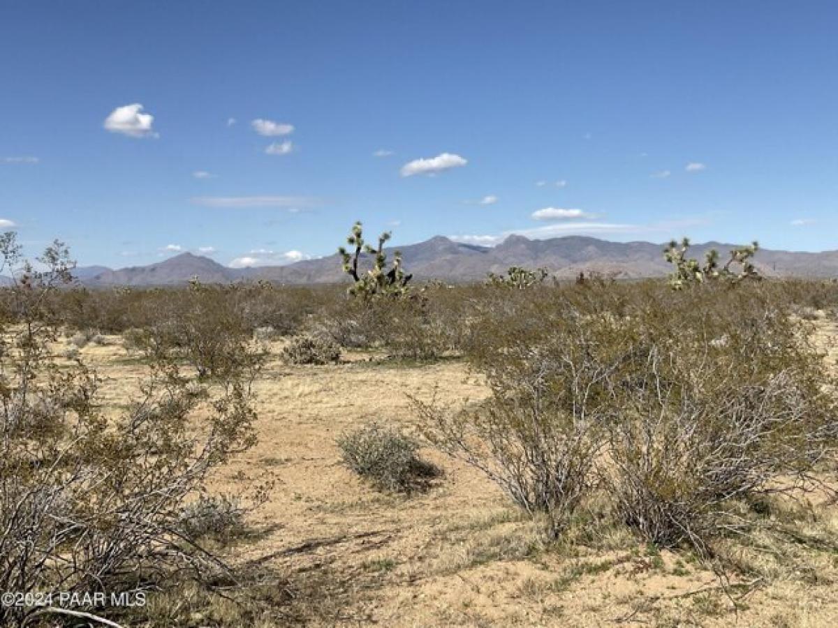 Picture of Residential Land For Sale in Yucca, Arizona, United States