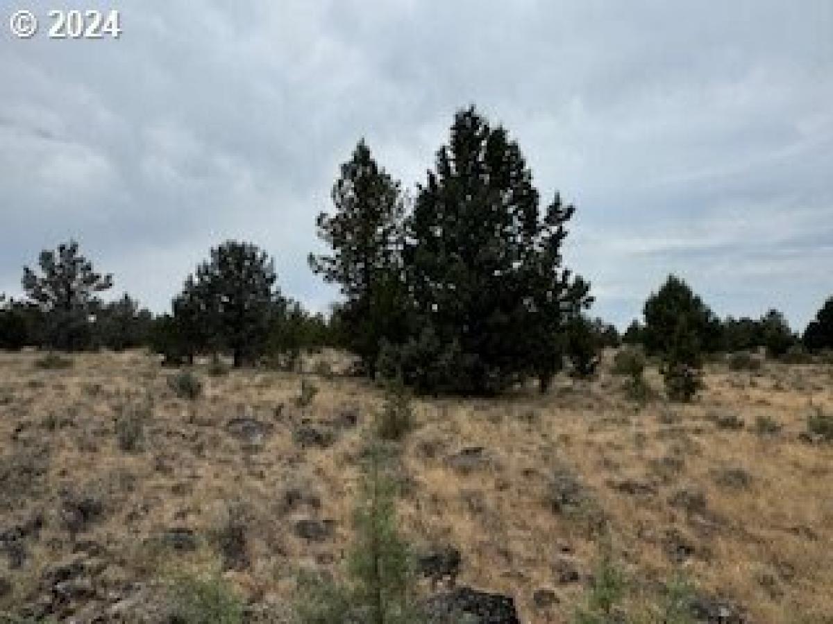 Picture of Residential Land For Sale in Bly, Oregon, United States