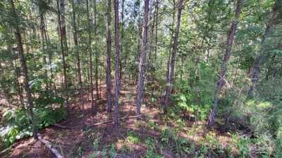 Residential Land For Sale in Mill Spring, North Carolina