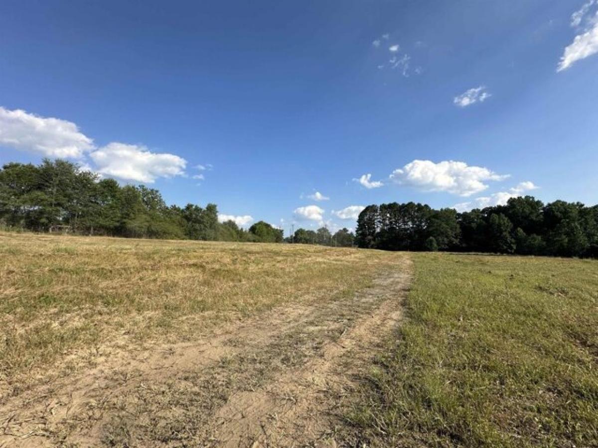 Picture of Residential Land For Sale in Jasper, Alabama, United States