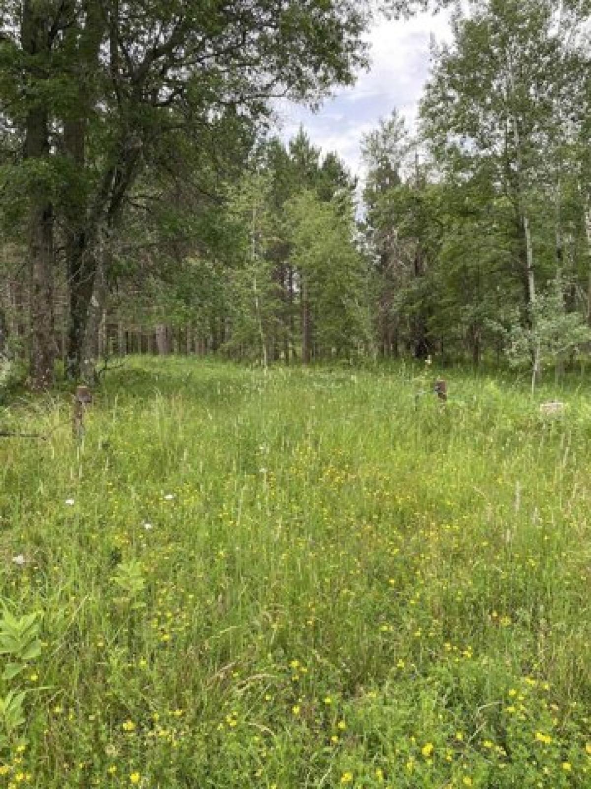 Picture of Residential Land For Sale in Nekoosa, Wisconsin, United States