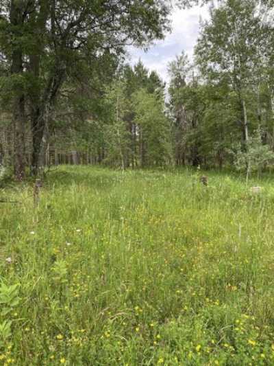 Residential Land For Sale in Nekoosa, Wisconsin