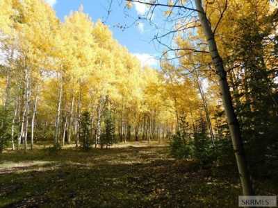 Residential Land For Sale in Island Park, Idaho