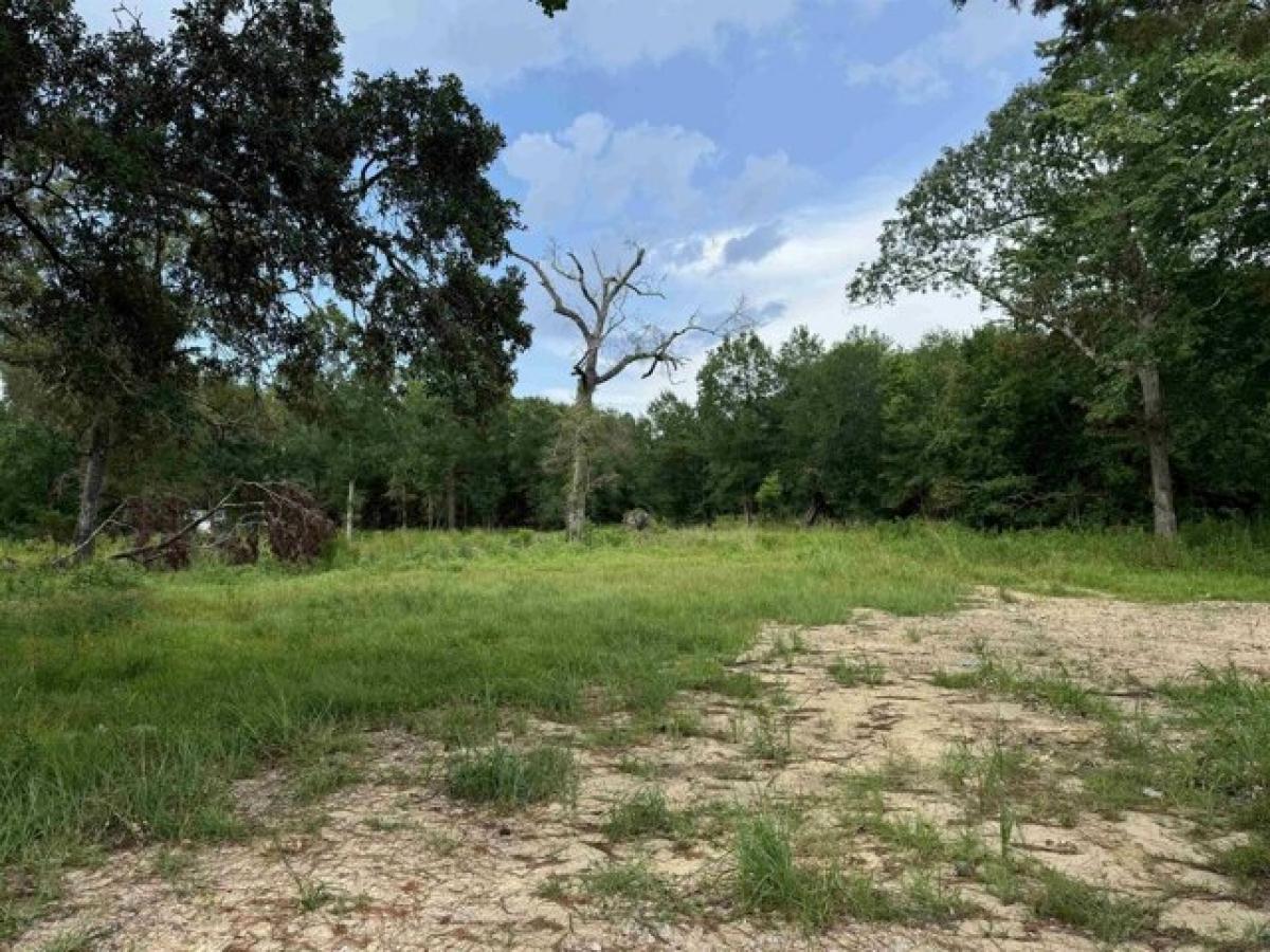 Picture of Residential Land For Sale in Vidor, Texas, United States