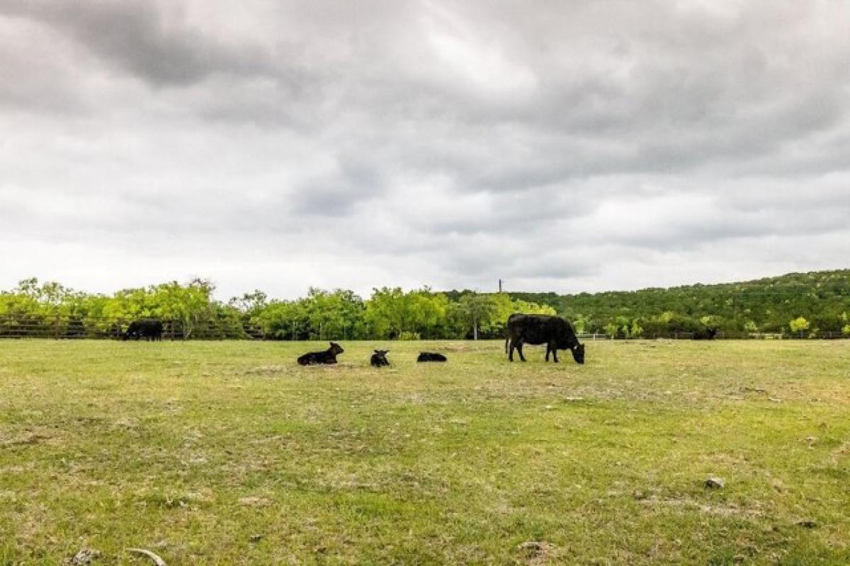 Picture of Residential Land For Sale in Graford, Texas, United States