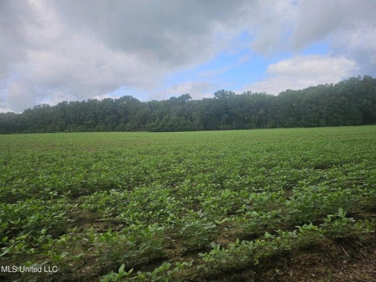 Picture of Residential Land For Sale in Canton, Mississippi, United States