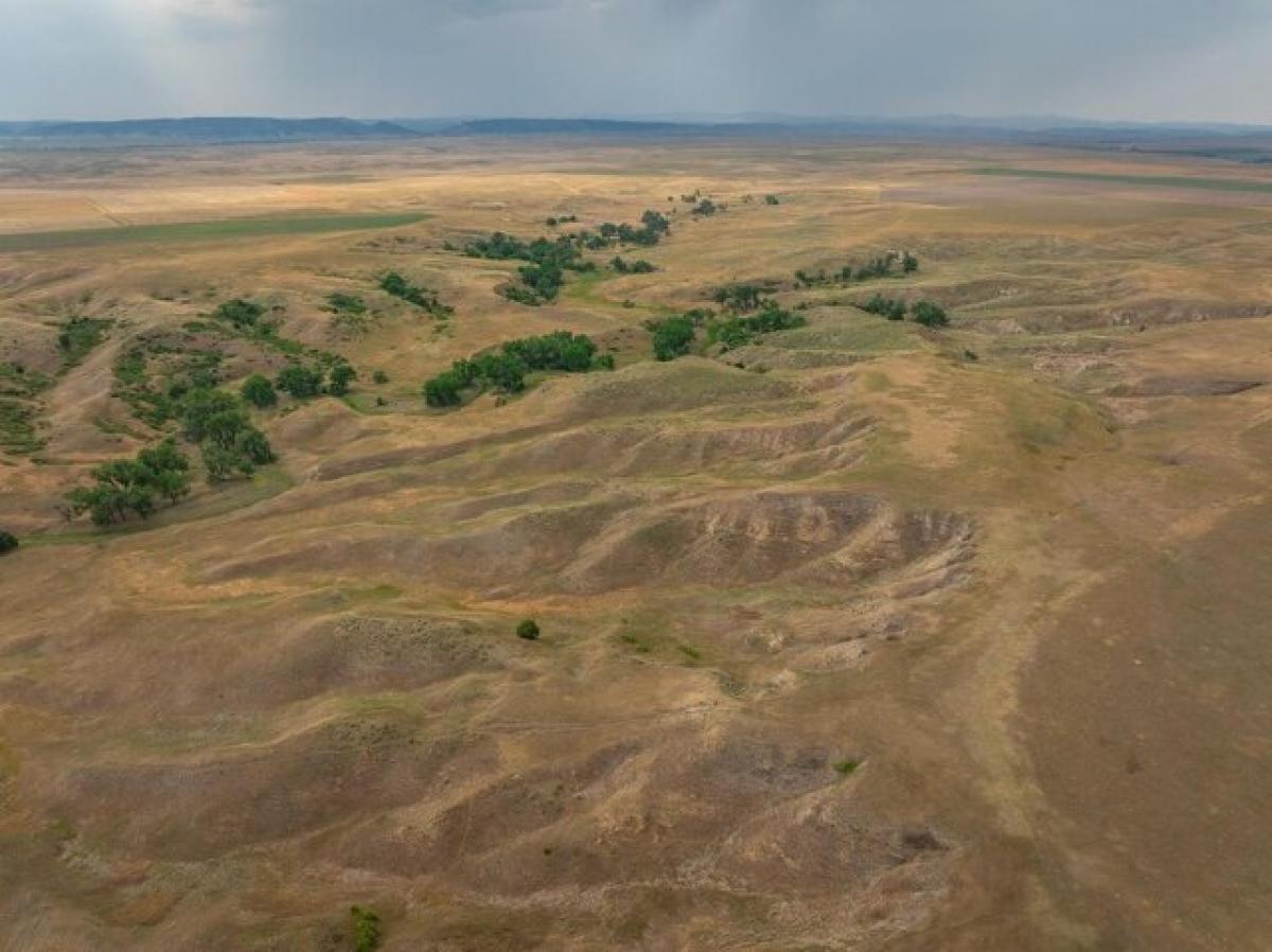 Picture of Residential Land For Sale in Buffalo Gap, South Dakota, United States