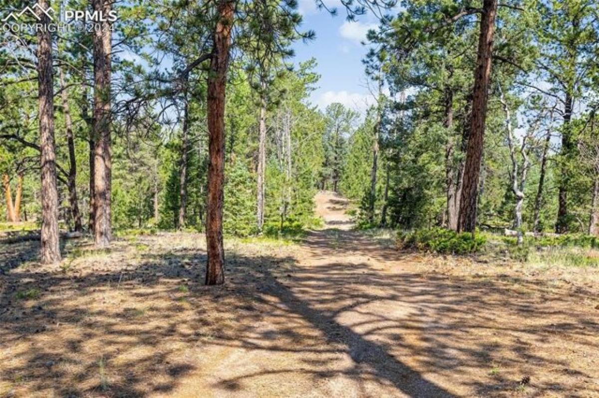 Picture of Residential Land For Sale in Florissant, Colorado, United States