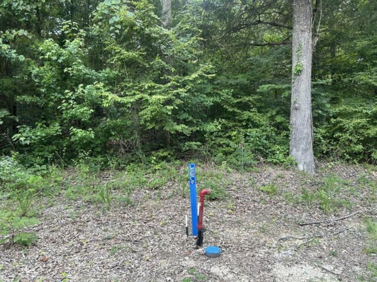 Picture of Residential Land For Rent in Big Sandy, Tennessee, United States